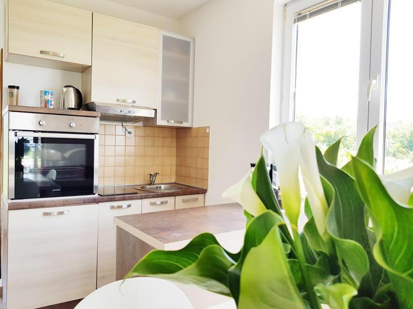 Talija Apartments Krimovica Budva Buitenkant foto